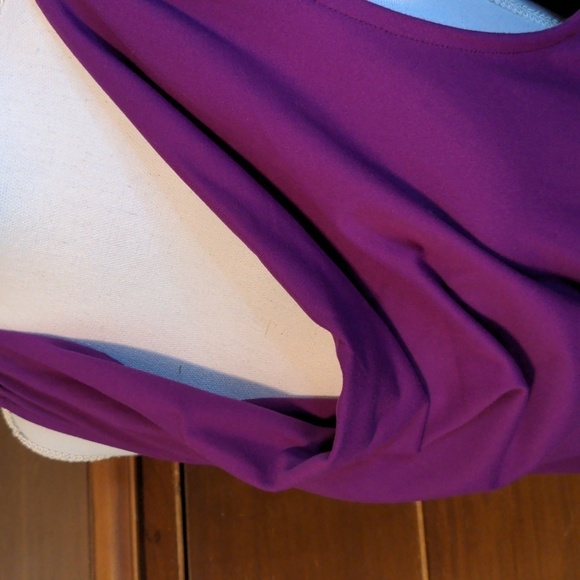 EDDIE BAUER MAGENTA Minimalist Sleeveless Blouse Top Shirt Size XL - Picture 8 of 13